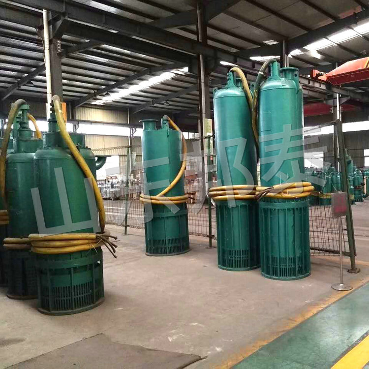 BQS220KW耐磨防爆潛水排污泵