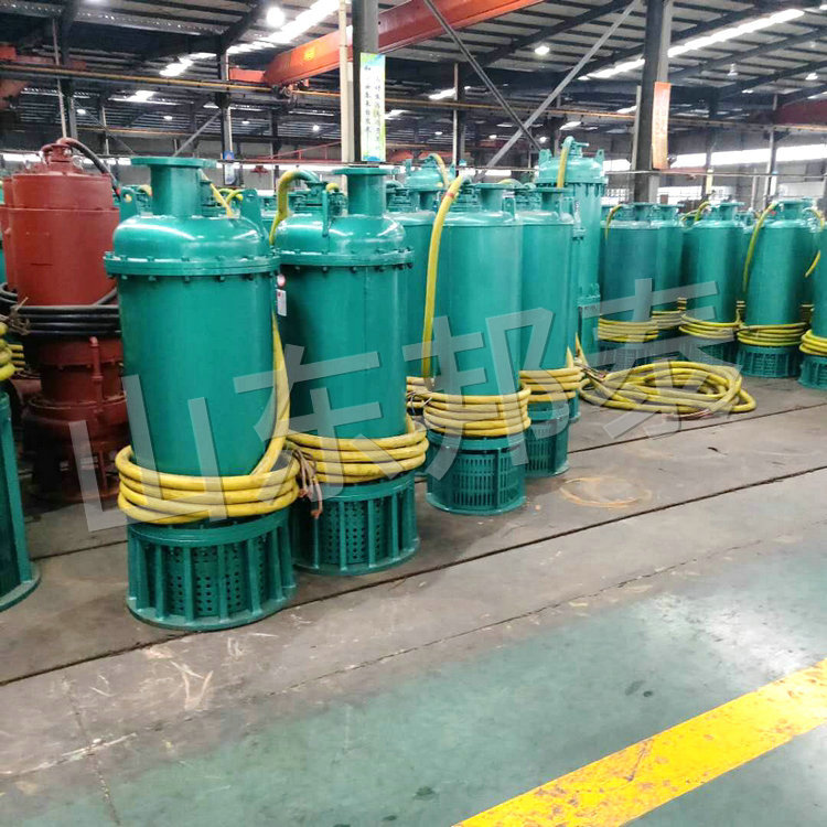 BQS110KW礦用耐腐蝕防爆潛污泵